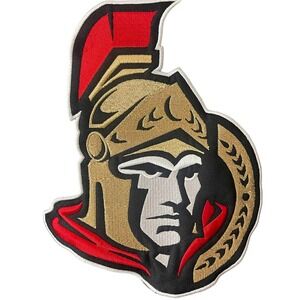 NHL Reebok Ottawa Senators Hoodie Black Pullover Mens Large. ECU